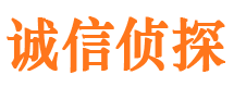 瑞安侦探公司